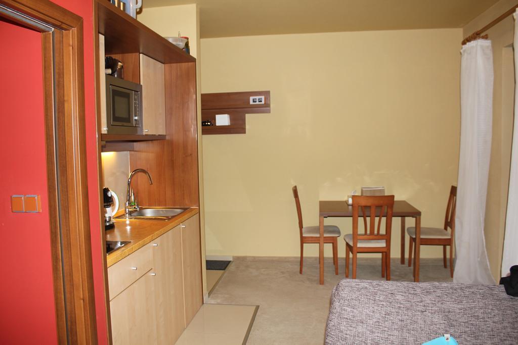 Apartman S Velkou Terasou Luxus Tatry E106 Velka Lomnica Εξωτερικό φωτογραφία